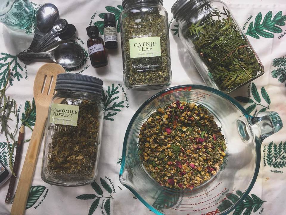 Wylde Folk Farm & Apothecary | 641 Zion Line, Millbrook, ON L0G 1G0, Canada