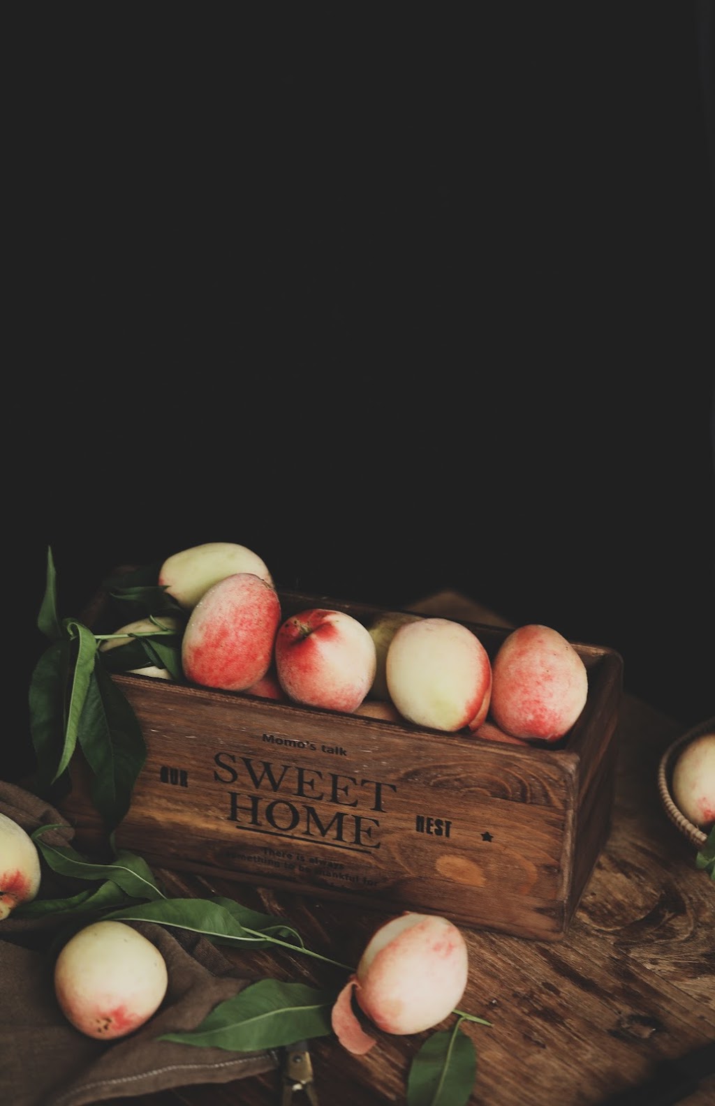 Home Care Assistance Winnipeg | 530 Kenaston Blvd Suite 344, Winnipeg, MB R3N 1Z4, Canada | Phone: (204) 489-6000