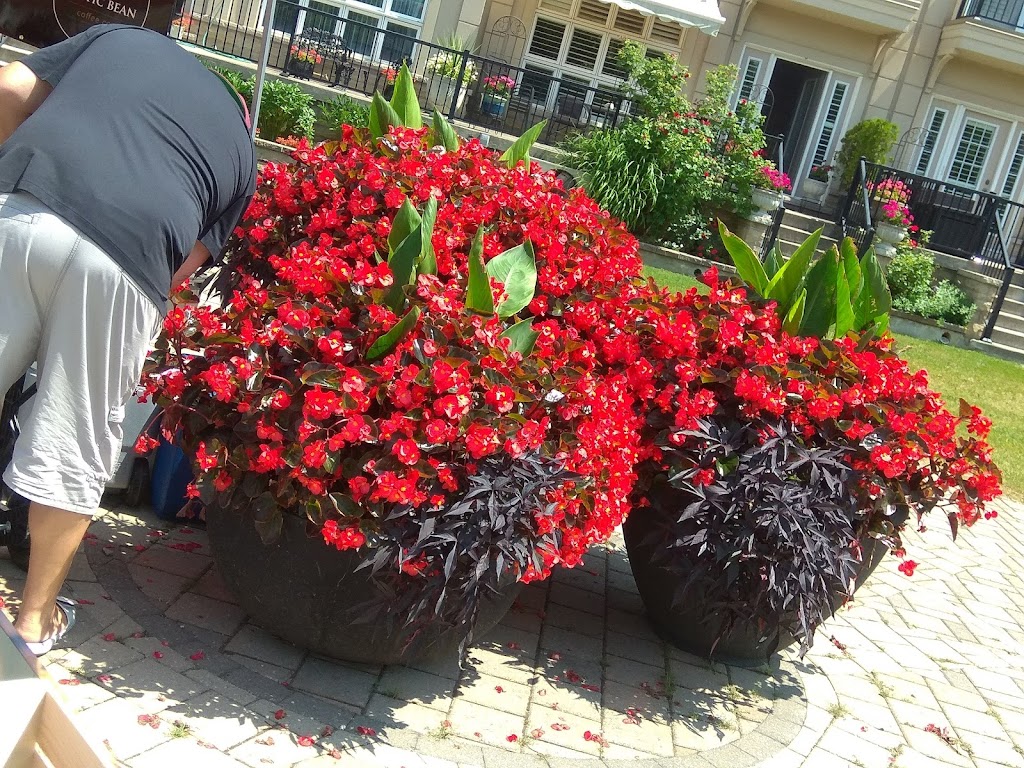 Cobourg Farmers Market (Open Seasonally) | Rotary Harbourfront Park Albert and, 2nd St, Cobourg, ON K9A 2P8, Canada | Phone: (416) 887-2655