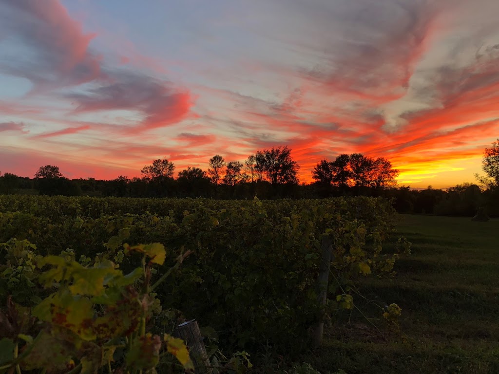 Domaine Des Salamandres | 196 Chemin de Covey Hill, Hemmingford, QC J0L 1H0, Canada | Phone: (450) 247-9000