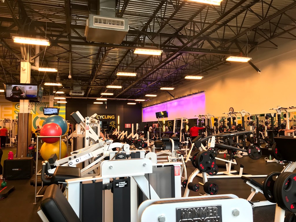 GoodLife Fitness Ottawa Herongate Mall | gym | 1600 Heron Rd, Ottawa, ON K1V 2P5, Canada | 6135260917 OR +1 613-526-0917
