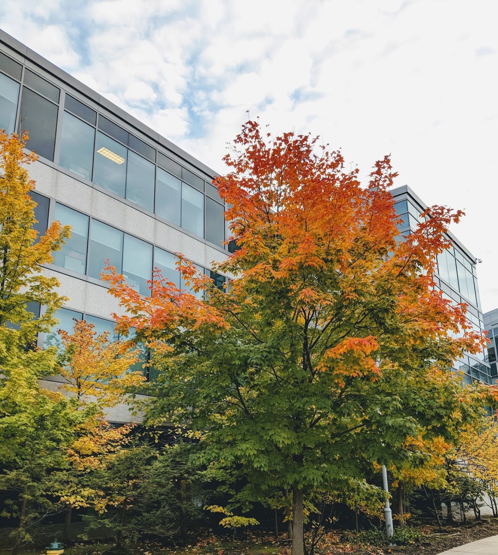 IBM Canada Software Lab - Toronto | 8200 Warden Ave., Unionville, ON L6G 1C7, Canada | Phone: (905) 413-3523