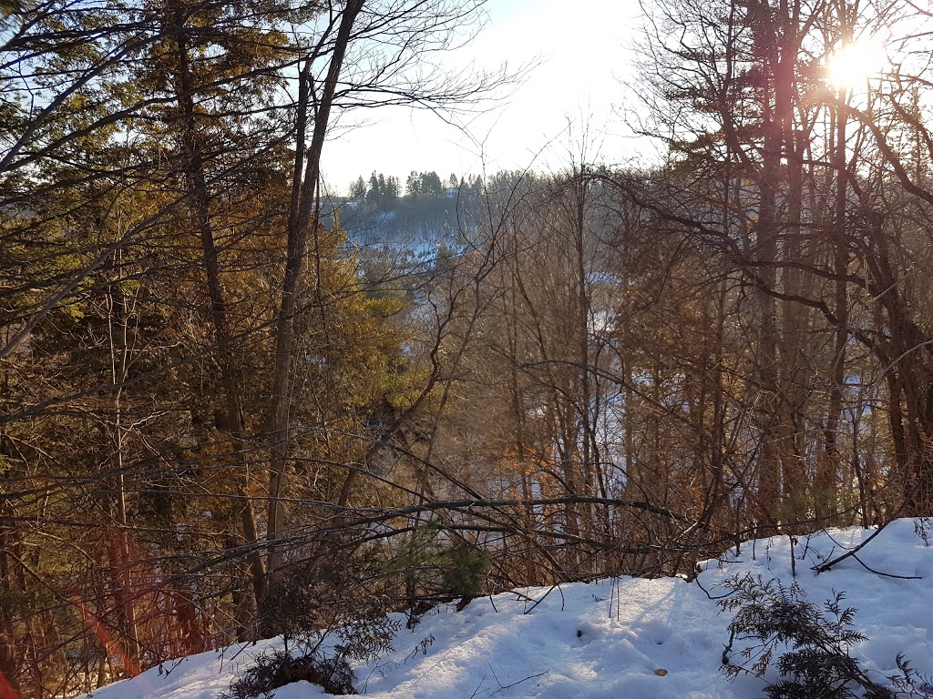 Nashville Conservation Reserve | Humber Valley Heritage Trail, Vaughan, ON L0J 1C0, Canada | Phone: (416) 661-6600