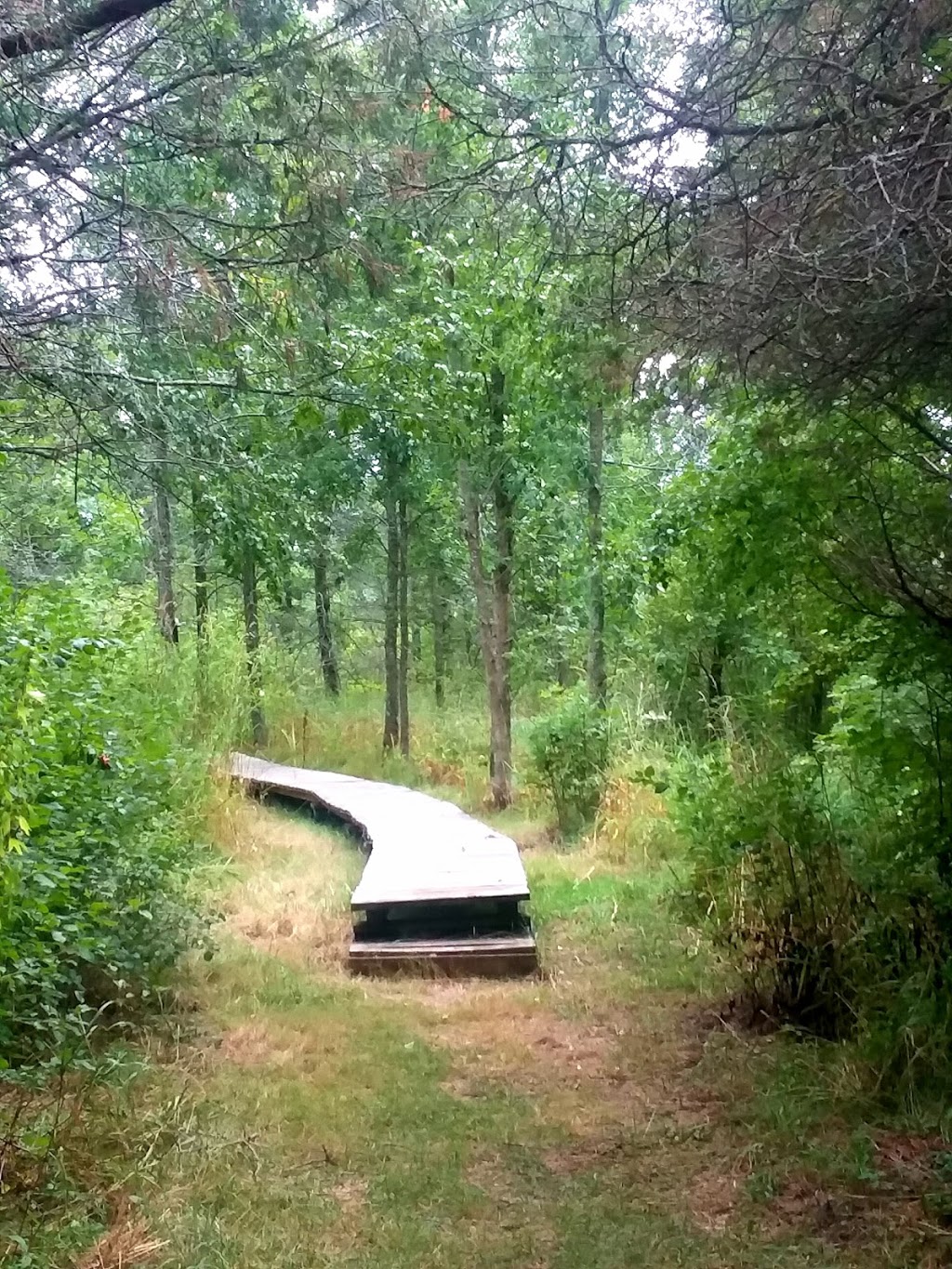 El Dorado Beach Preserve | Grandjean Rd, Henderson, NY 13650, USA | Phone: (315) 387-3600