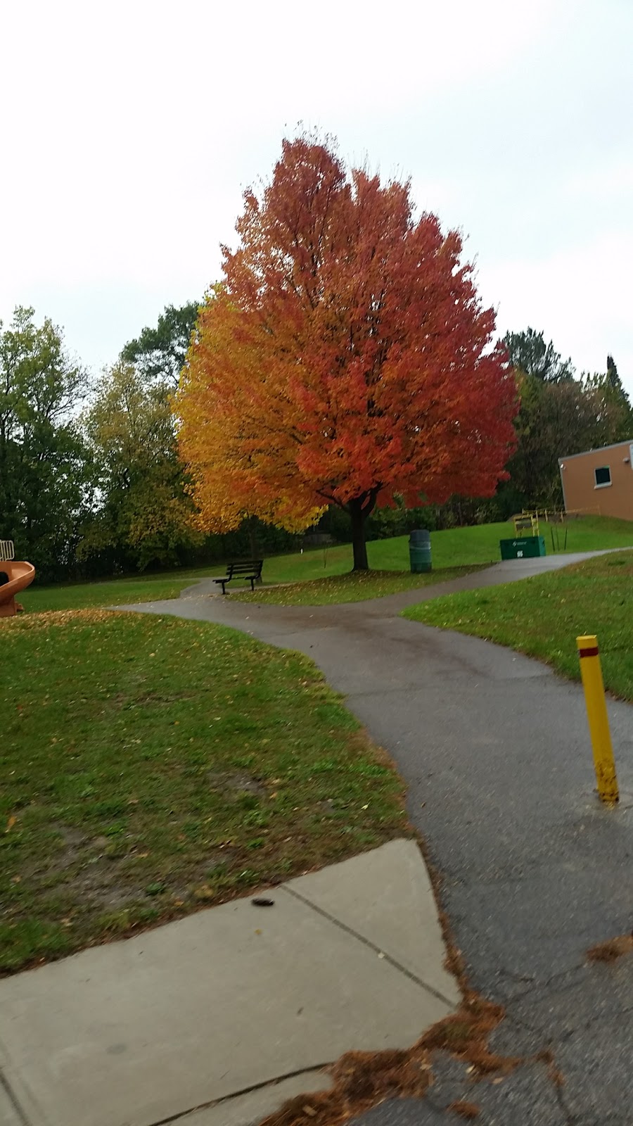 Jorgenson Park | 1308 Norman Ave, London, ON N6K 2A3, Canada