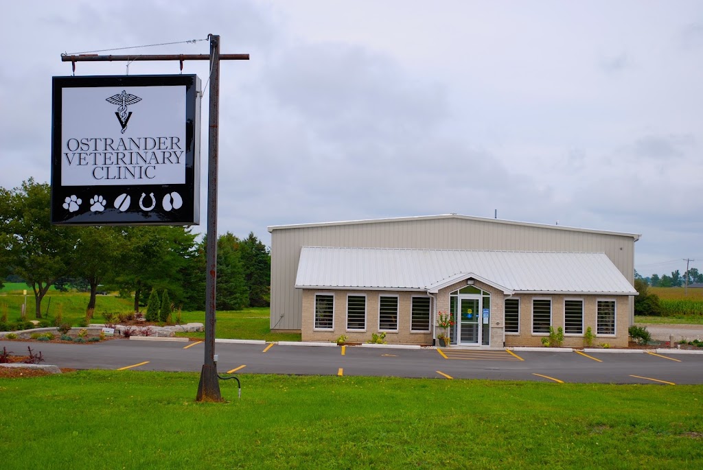 MCI Design-Build Corporation | 2081 Oxford St E, London, ON N5V 2Z7, Canada | Phone: (519) 453-3979