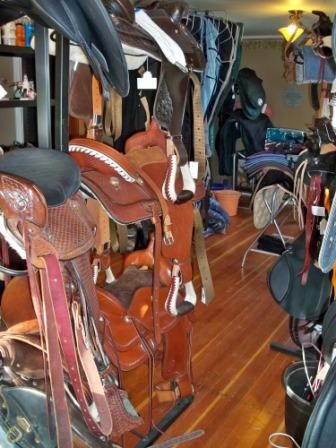Symphony Saddle & Tack Sales | 778 County Rd 37, Wheatley, ON N0P 2P0, Canada | Phone: (877) 825-8708