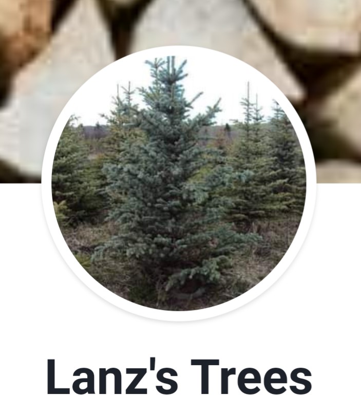 Lanz Trees | 110 Railway Ave W, Cremona, AB T0M 0R0, Canada | Phone: (403) 616-8248