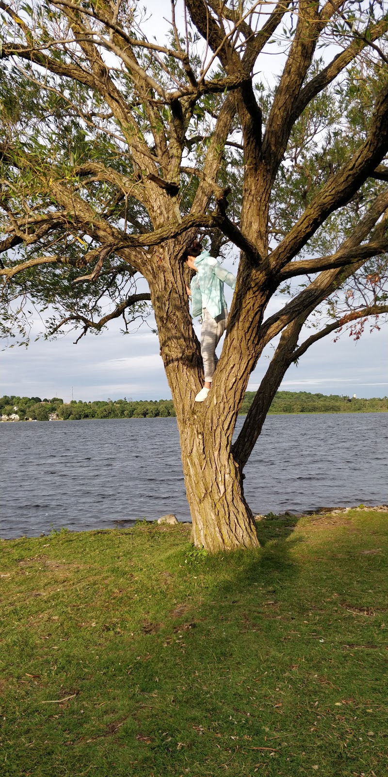 Birdseye Park | 254 Water St, Port Perry, ON L9L 1C4, Canada