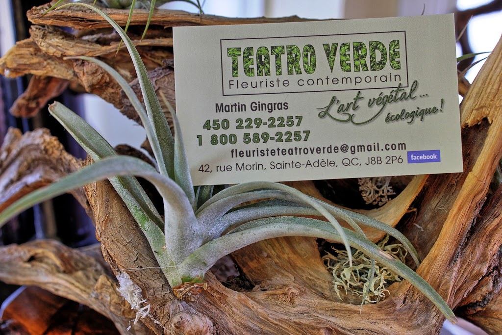 Teatro Verde, fleuriste | 42 Rue Morin, Sainte-Adèle, QC J8P 2P6, Canada | Phone: (450) 229-2257