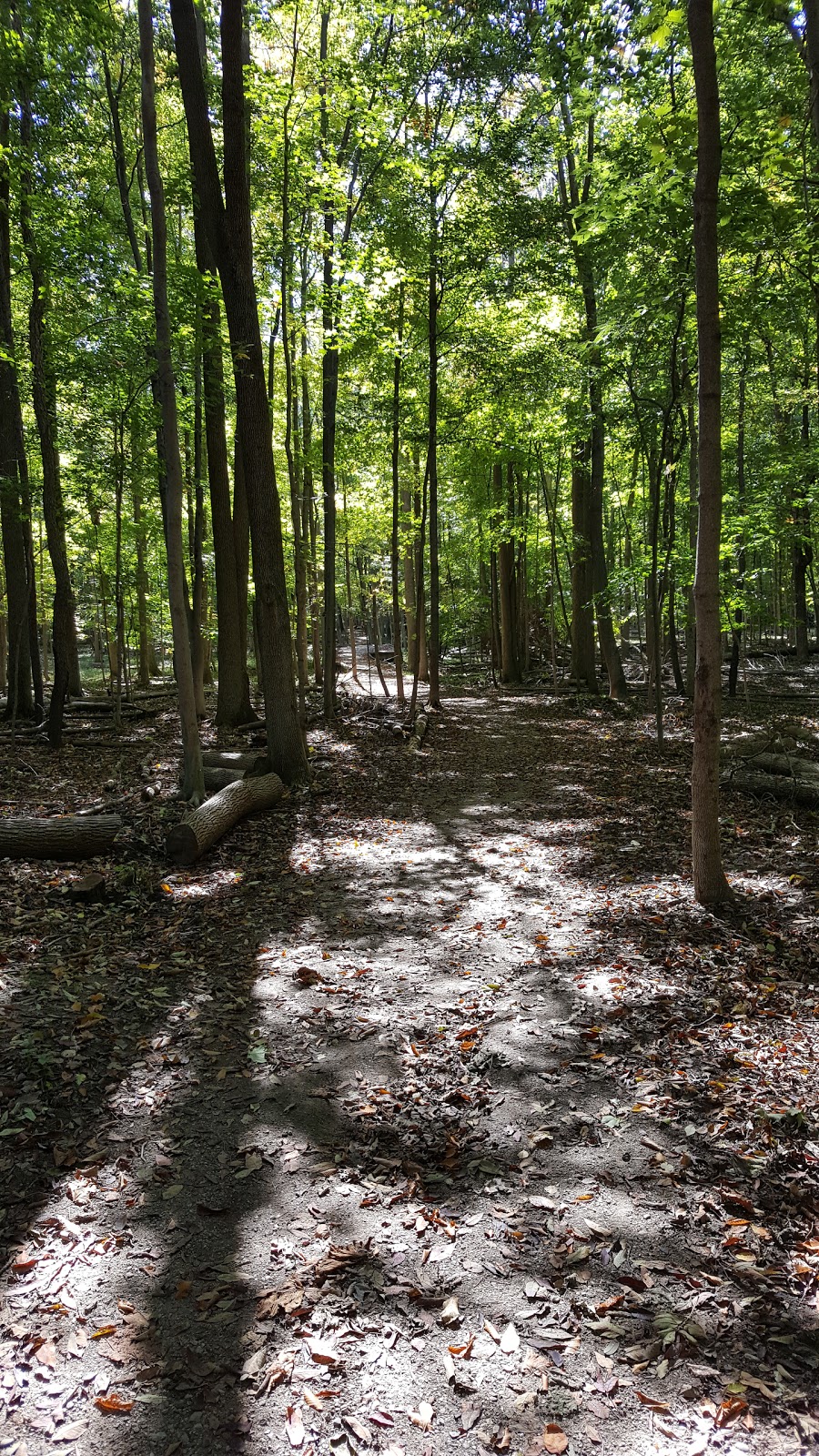 Preservation Park | 226 Kortright Rd W, Guelph, ON N1G 4Y9, Canada