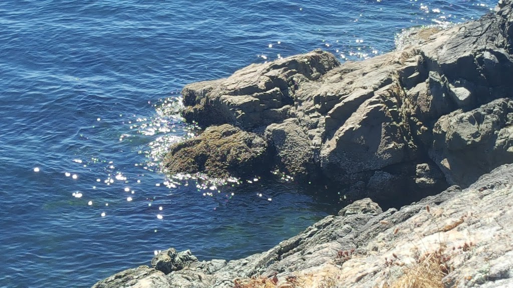 Saxe Point Park | Victoria, BC V9A 6G5, Canada | Phone: (250) 590-8896