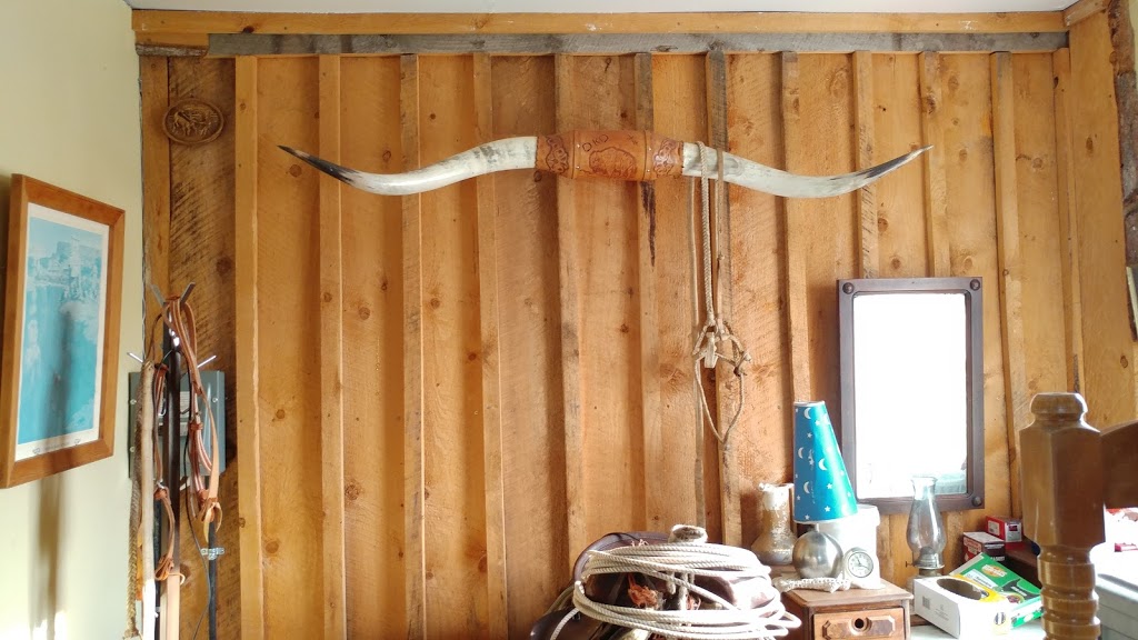 Heart Bar Ranch | 5407 49 St, Tofield, AB T0B 4J0, Canada | Phone: (780) 718-1348