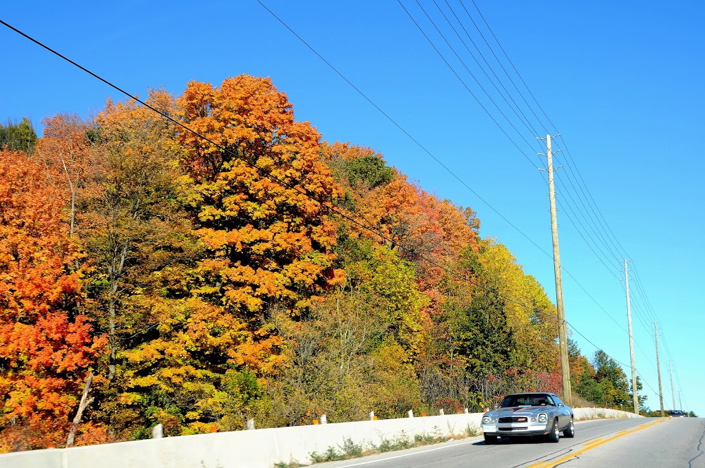 Saint-Jean de Brebeuf Park | Woodbridge, ON L4H 1N6, Canada