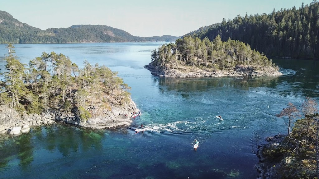 Island Life Expeditions | Marina, 9082 Clarkson Ave, Black Creek, BC V9J 1B3, Canada | Phone: (250) 895-9400