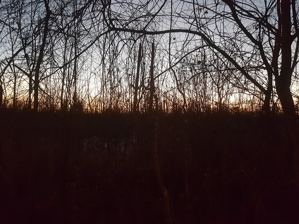 Camp Seeonee | Vanscoy, SK S0L 3J0, Canada