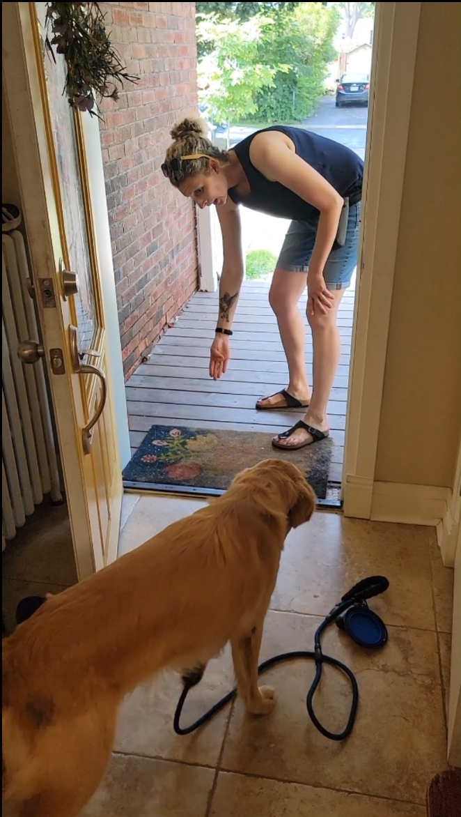 Durham Dog Training | 6150 Clemens Rd, Bowmanville, ON L1C 5R3, Canada | Phone: (365) 688-9070