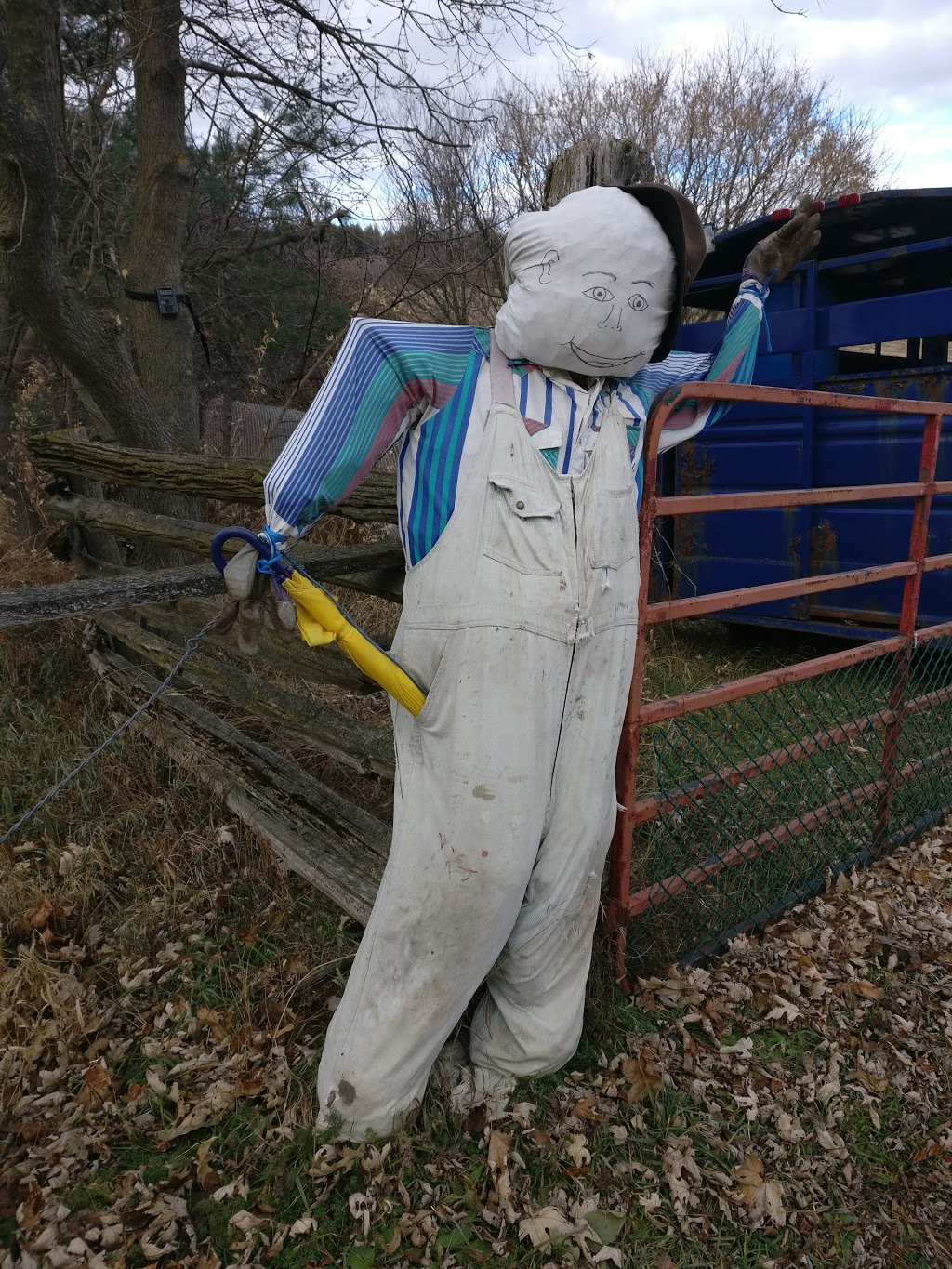 Ken Jen Petting Zoo | 4499 Grandview St N, Oshawa, ON L1H 7K4, Canada