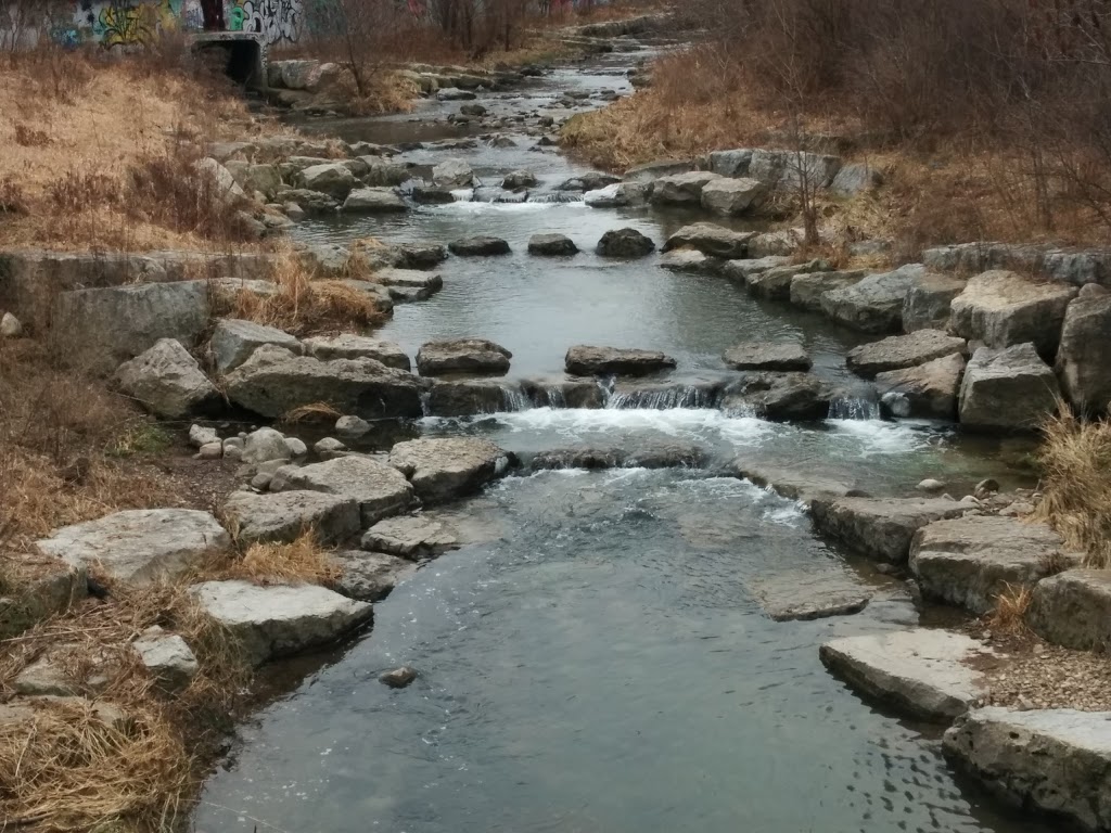 Red Hill Trail - south parking lot | 169 Mud St, Hamilton, ON L8K, Canada