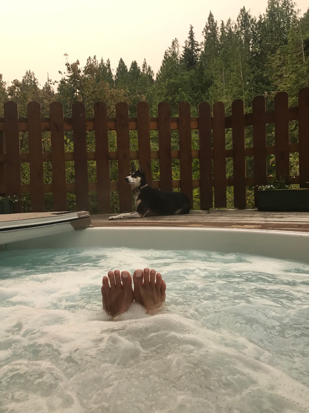 Dent Island Lodge | General Delivery, Stuart Island, BC V0P 1V0, Canada | Phone: (250) 203-2553