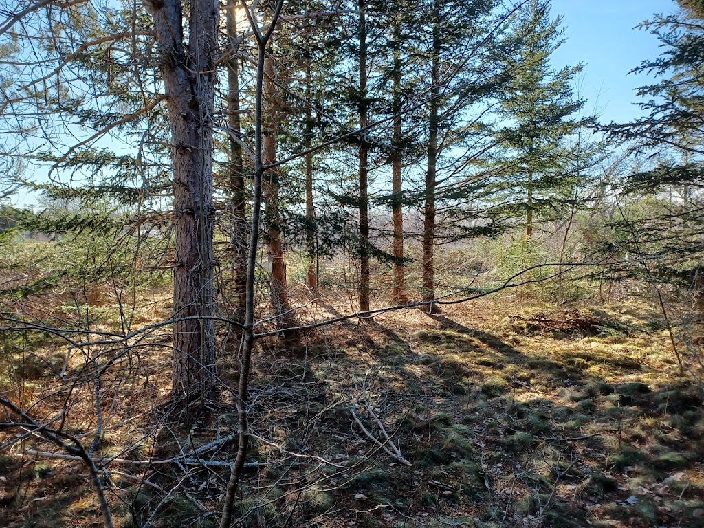 Ravens Rest RV and Campground | 2153 Highway #336, Upper Stewiacke, NS B0N 2P0, Canada | Phone: (902) 890-2209