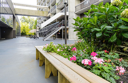 Surrey Village | 9835 King George Blvd, Surrey, BC V3T 5H6, Canada | Phone: (604) 496-0836