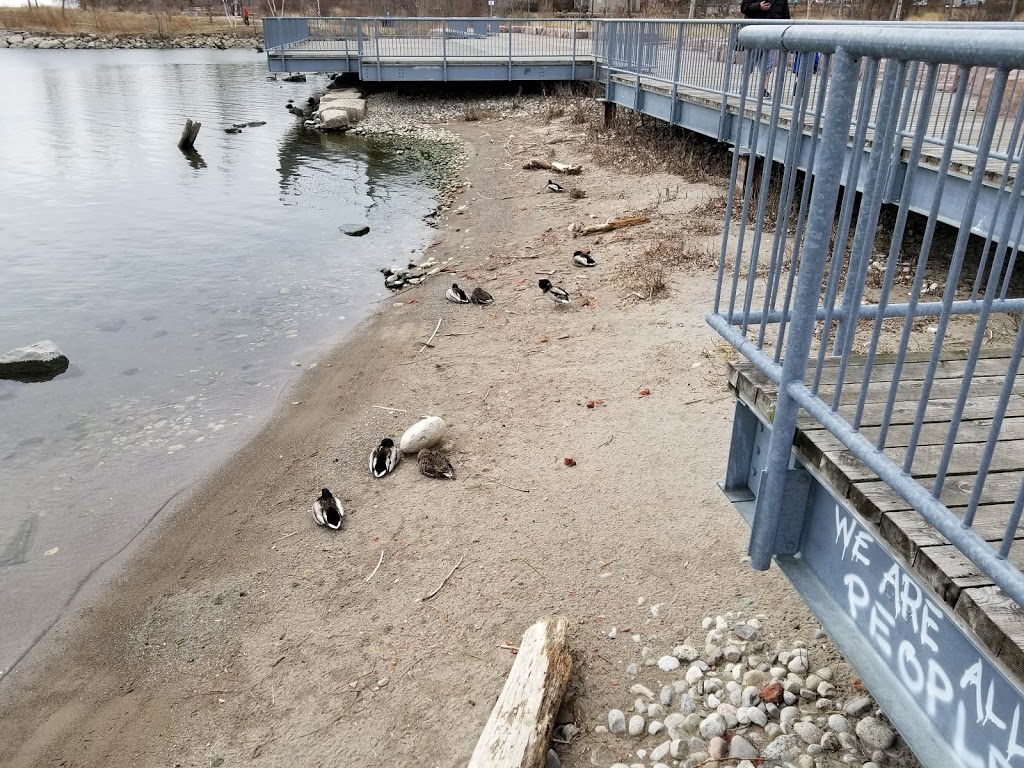 Amos Waites Park | 2441 Lake Shore Blvd W, Etobicoke, ON M8V 1C5, Canada | Phone: (416) 394-8484