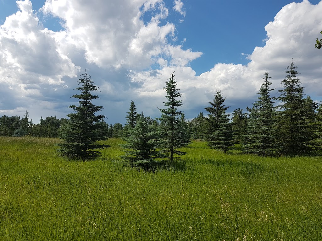 Glennfield - Area A | Southeast Calgary, Calgary, AB T2X, Canada | Phone: (403) 297-5293