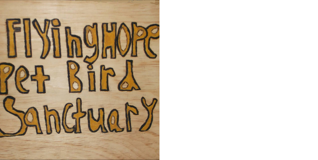 Flying Hope | 281 N Trent St, Frankford, ON K0K 2C0, Canada | Phone: (613) 813-4692
