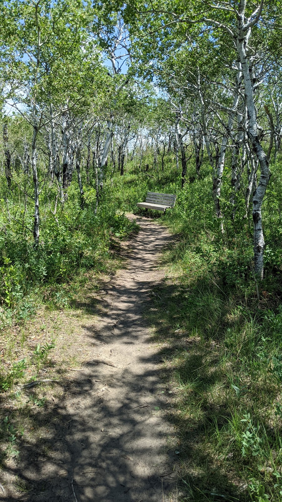 Douglas Provincial Park | 648 Sakuhikan Dr, Elbow, SK S0H 1J0, Canada | Phone: (306) 787-8676