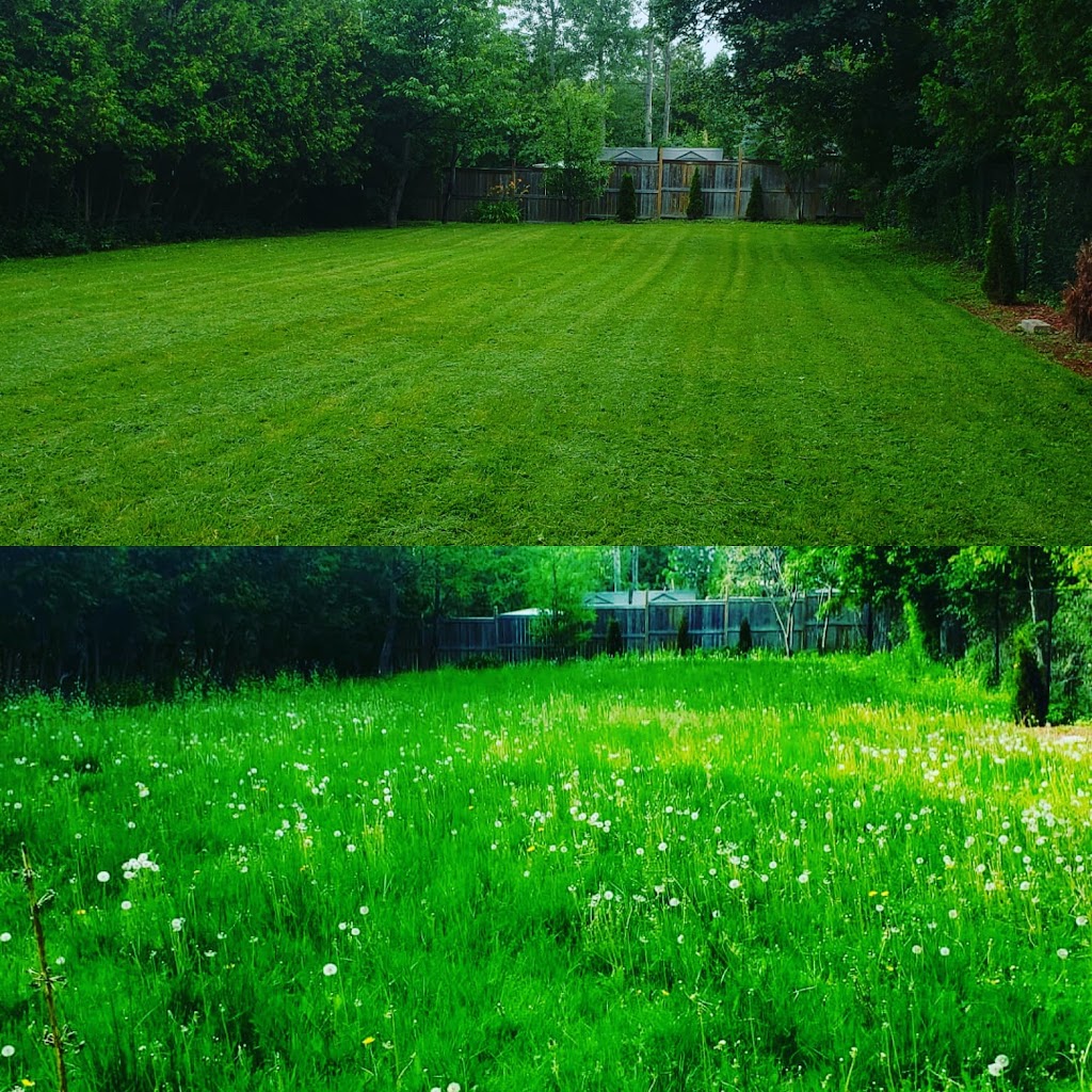 MMC Landscaping | 15161 Woodbine Ave, Markham, ON L0H 1G0, Canada | Phone: (416) 904-5756
