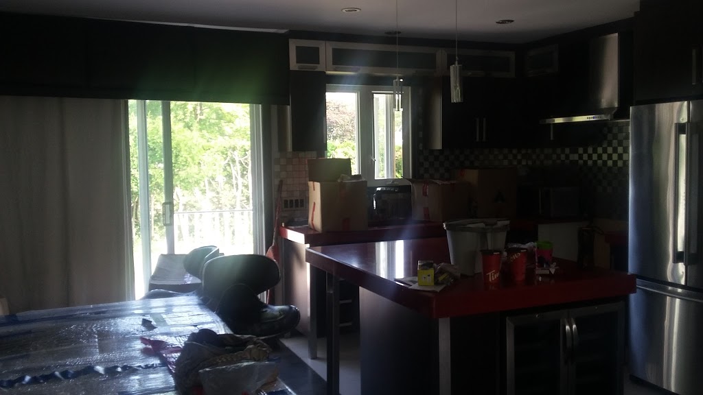 Action Émondage | 11 Rue Chapdelaine, Saint-Charles-Borromée, QC J6E 6P5, Canada | Phone: (450) 916-8173