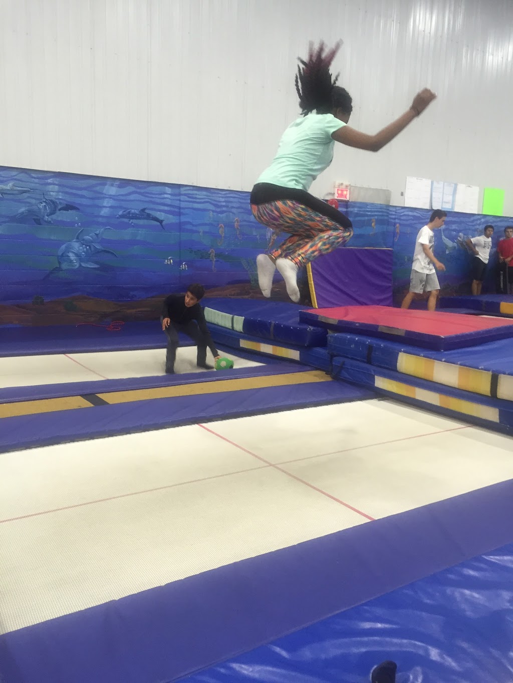 Club De Trampoline Acrosport | 1365 Boulevard Dagenais O, Laval, QC H7L 5Z9, Canada | Phone: (450) 622-0077