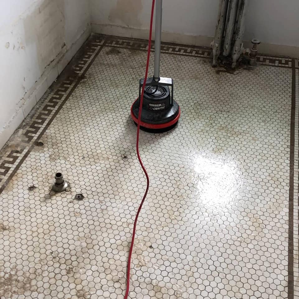 Diamond Carpet Cleaning | 1376 Winnipeg Ave W, Winnipeg, MB R3E 0S6, Canada | Phone: (204) 783-9915