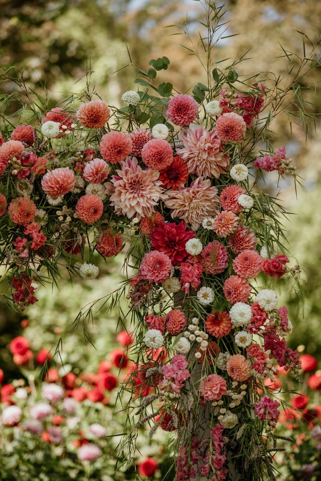 Wild Bee Florals | 5259 Stapley Rd, Courtenay, BC V9J 1P5, Canada | Phone: (250) 792-4274