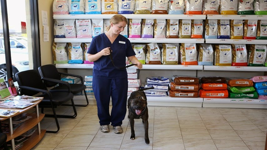 Apex Animal Hospital | 19909 64 Ave #102, Langley City, BC V2Y 1G9, Canada | Phone: (604) 514-1444