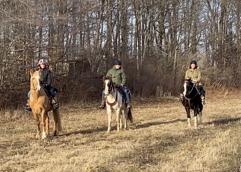 Flatt Ranch Boarding Facility | 2478 Smithville Rd, Smithville, ON L0R 2A0, Canada | Phone: (289) 209-8620