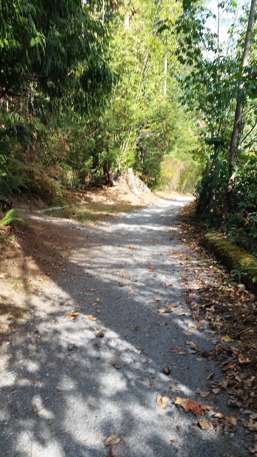 Walking Trail 1 | 2W2, 4th Ave Trail, Langley City, BC V2Z 2V8, Canada