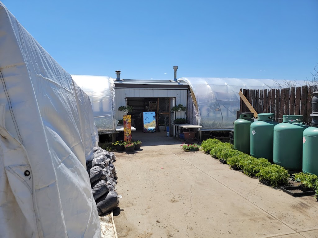 Leslies Greenhouse | 23411, Vista Rd, AB T0A 0K5, Canada | Phone: (780) 239-7993