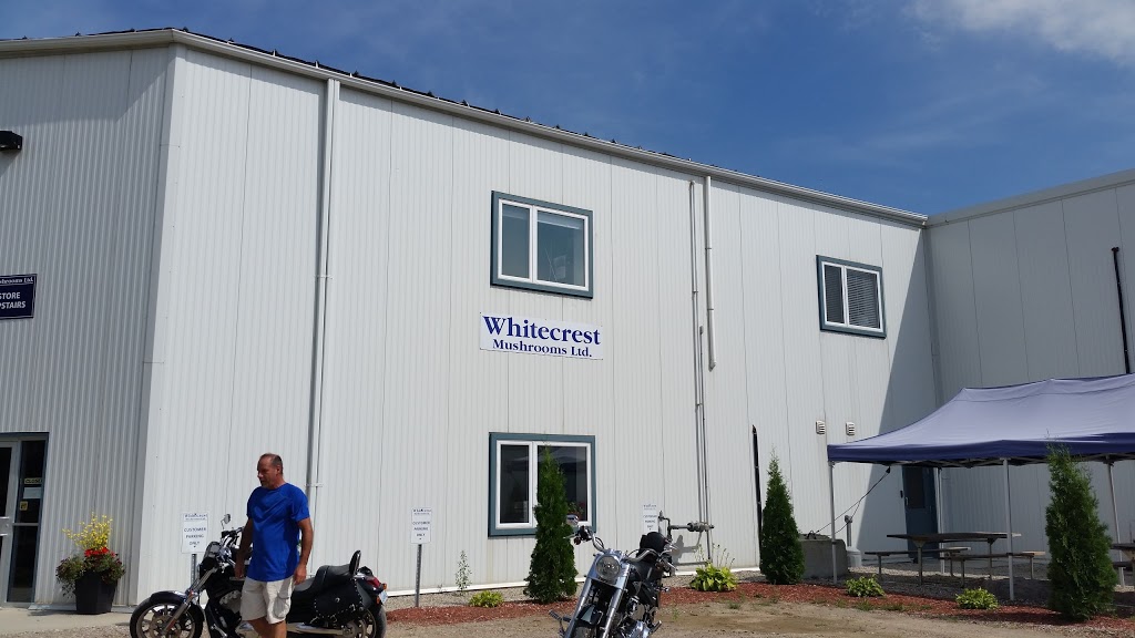 Whitecrest Mushrooms Ltd | 2899 Cromarty Dr, Putnam, ON N0L 2B0, Canada | Phone: (519) 269-3534