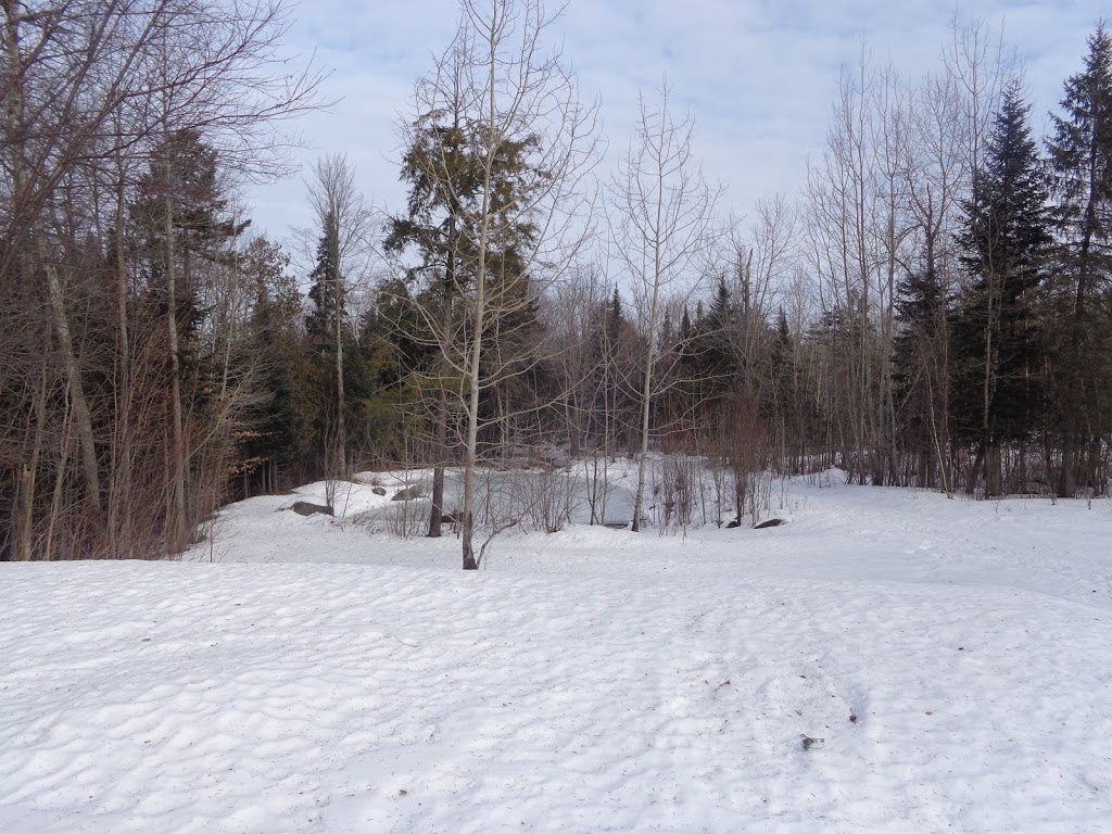 Mésange des Buissons | 36B Chemin Gosford, Bishopton, QC J0B 1G0, Canada | Phone: (819) 574-3398