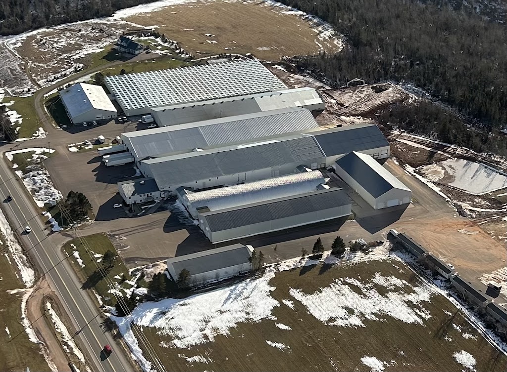 Vanco Farms Ltd | 9311 Trans-Canada Hwy, Mount Albion, PE C1B 0R4, Canada | Phone: (902) 651-2970