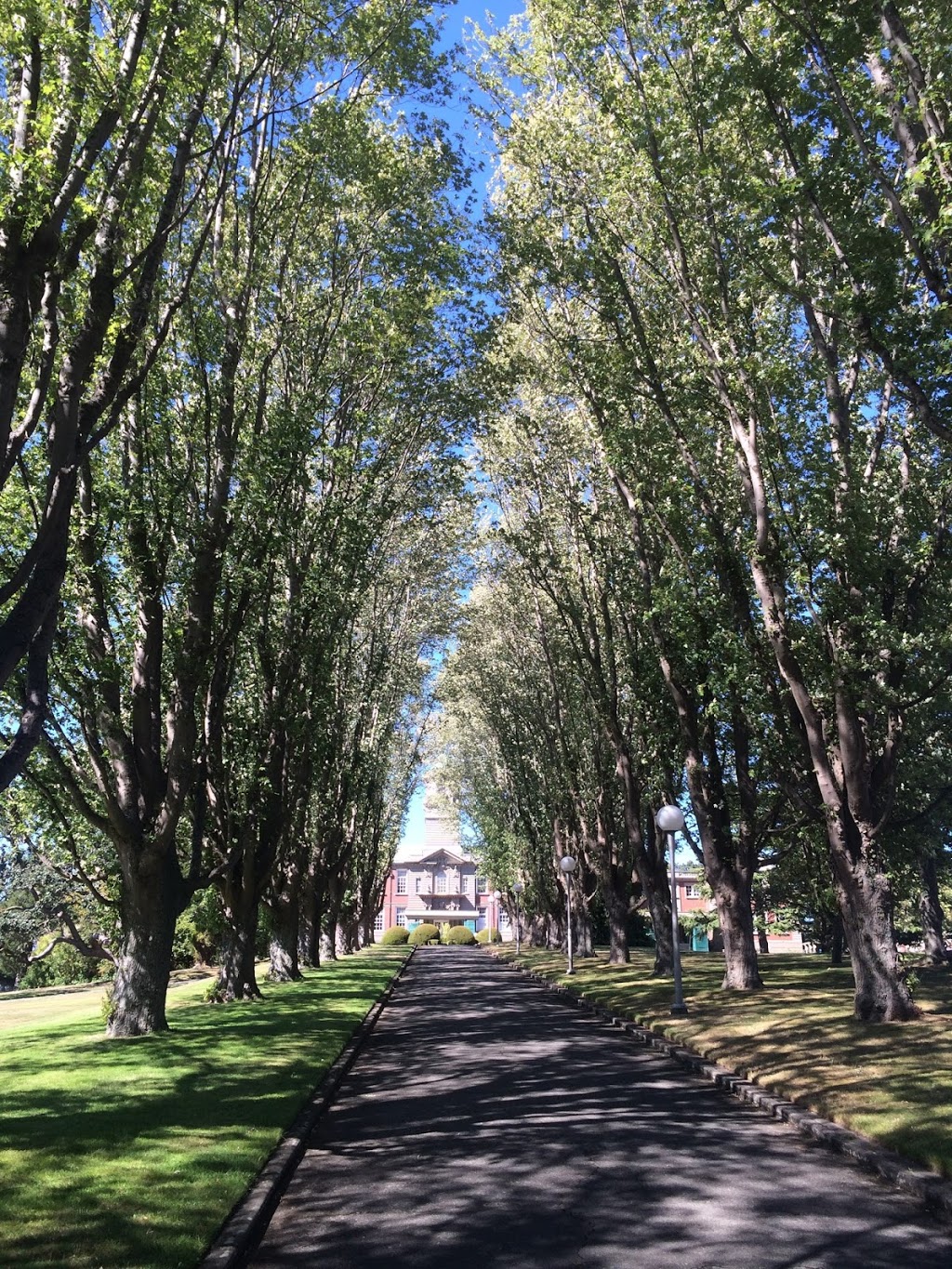 Camosun College Lansdowne Campus | 3100 Foul Bay Rd, Victoria, BC V8P 5J2, Canada | Phone: (250) 370-3000