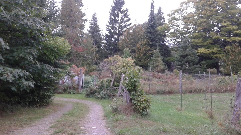 Cedarwood Lodge | 40 Cranston Rd, Providence Bay, ON P0P 1T0, Canada | Phone: (705) 377-5845
