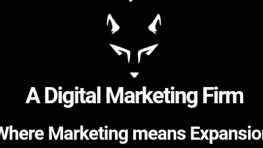 The Wolf Marketing | 263 Sorento St, Nepean, ON K2J 0B4, Canada | Phone: (218) 219-8871