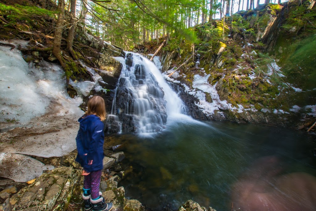 Dawson Brook Waterfall | Ellershouse, NS B0N 1L0, Canada