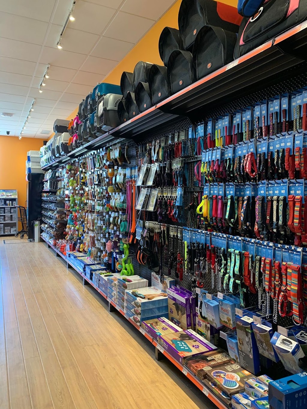 Chico - Boutique danimaux | Drummondville | 1125 Bd René-Lévesque, Drummondville, QC J2C 7V4, Canada | Phone: (819) 253-0244