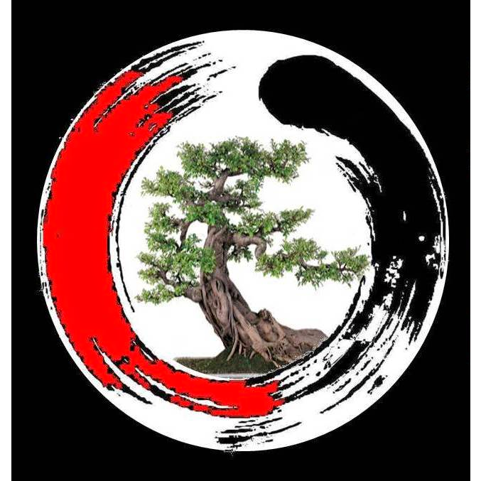 Acupuncture Chinoise HY TRAN de Sherbrooke 中國針灸診所 | 99 Rue Gordon, Sherbrooke, QC J1H 4Y4, Canada | Phone: (819) 822-1153