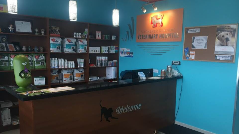 Kitchener Central Veterinary Hospital | 720 Westmount Rd E #6, Kitchener, ON N2E 2M6, Canada | Phone: (519) 570-0092
