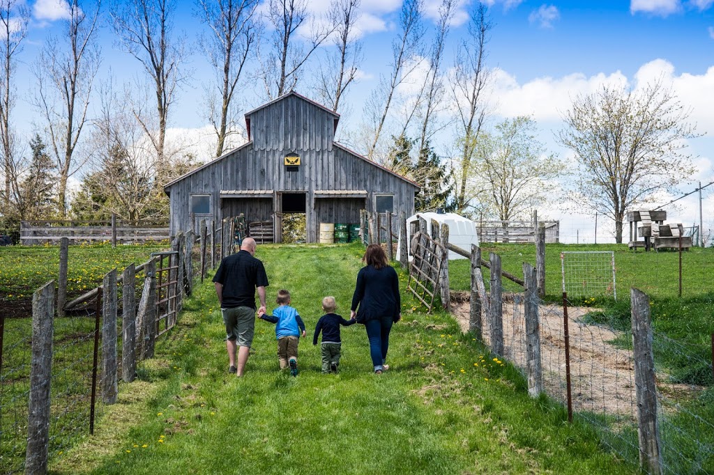 Mapletons Organic Dairy | 8548 Wellington St N, Moorefield, ON N0G 2K0, Canada | Phone: (519) 638-1115